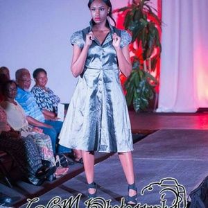 Sliver Dress